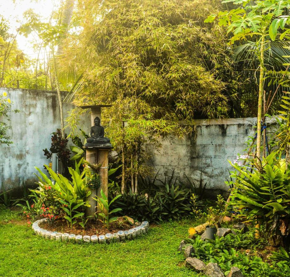 Bed and Breakfast The Breeze Mirissa Exterior foto